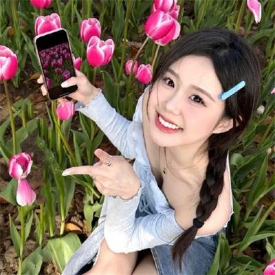 土地与尘埃